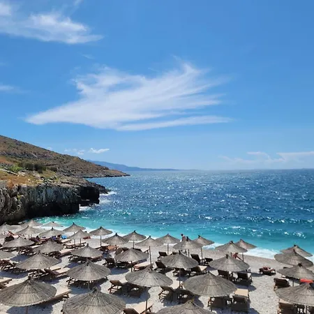 Seaview Junis